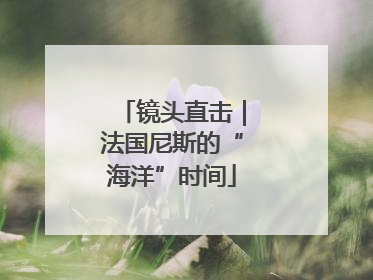 镜头直击｜法国尼斯的“海洋”时间