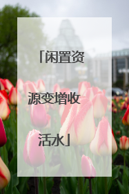 闲置资源变增收活水