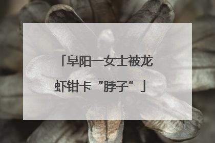 阜阳一女士被龙虾钳卡“脖子”