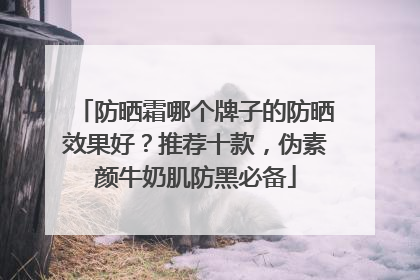 防晒霜哪个牌子的防晒效果好？推荐十款，伪素颜牛奶肌防黑必备