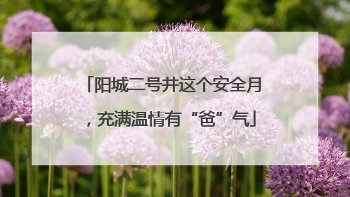 阳城二号井这个安全月，充满温情有“爸”气