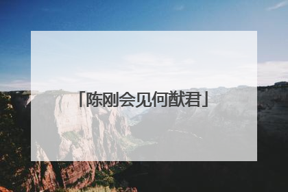 陈刚会见何猷君