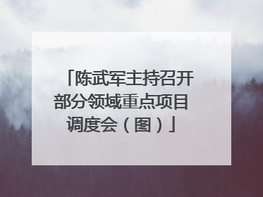 陈武军主持召开部分领域重点项目调度会（图）