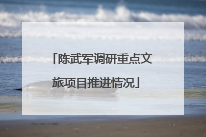 陈武军调研重点文旅项目推进情况