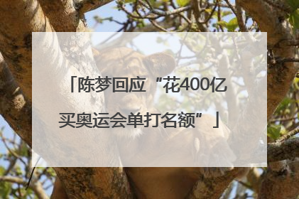 陈梦回应“花400亿买奥运会单打名额”
