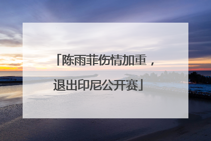 陈雨菲伤情加重，退出印尼公开赛