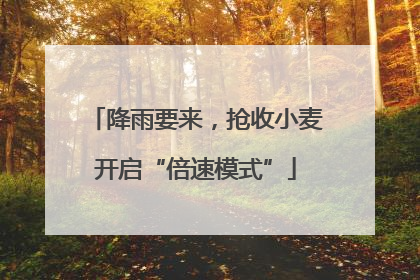 降雨要来，抢收小麦开启“倍速模式”