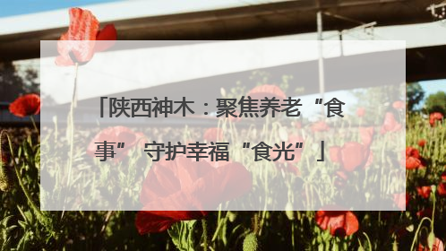 陕西神木：聚焦养老“食事” 守护幸福“食光”