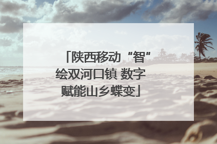 陕西移动“智”绘双河口镇 数字赋能山乡蝶变