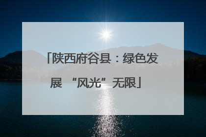 陕西府谷县：绿色发展 “风光”无限