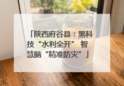 陕西府谷县：黑科技“水利全开” 智慧脑“精准防灾”