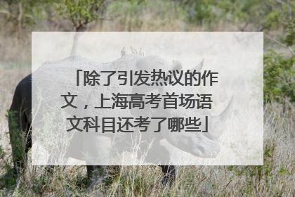 除了引发热议的作文，上海高考首场语文科目还考了哪些