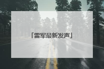雷军最新发声