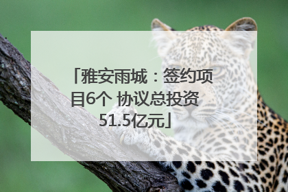 雅安雨城：签约项目6个 协议总投资51.5亿元