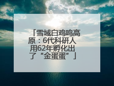 雪域白鸡鸣高原：6代科研人用62年孵化出了“金蛋蛋”