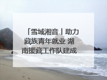 雪域湘音丨助力藏族青年就业 湖南援藏工作队建成西藏首个清洁能源装备园