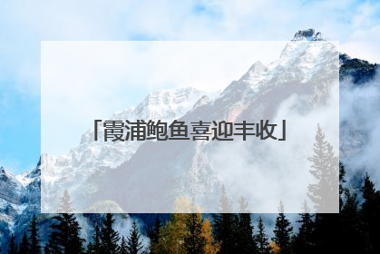 霞浦鲍鱼喜迎丰收