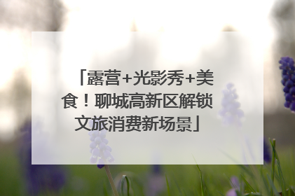 露营+光影秀+美食！聊城高新区解锁文旅消费新场景