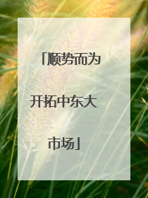 顺势而为开拓中东大市场