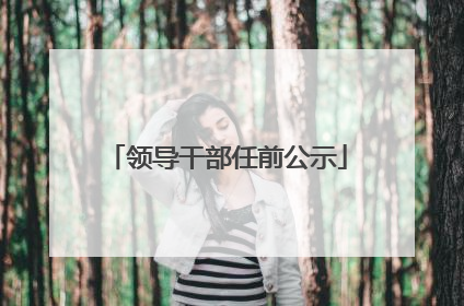 领导干部任前公示