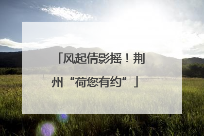 风起倩影摇！荆州“荷您有约”