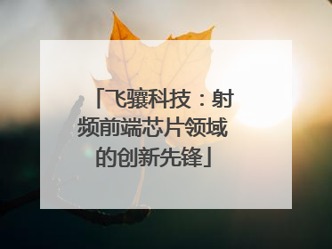 飞骧科技：射频前端芯片领域的创新先锋