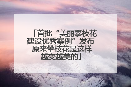 首批“美丽攀枝花建设优秀案例”发布 原来攀枝花是这样越变越美的
