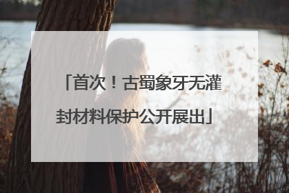 首次！古蜀象牙无灌封材料保护公开展出