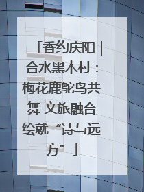 香约庆阳｜合水黑木村：梅花鹿鸵鸟共舞 文旅融合绘就“诗与远方”