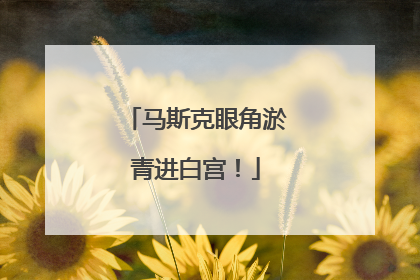 马斯克眼角淤青进白宫！