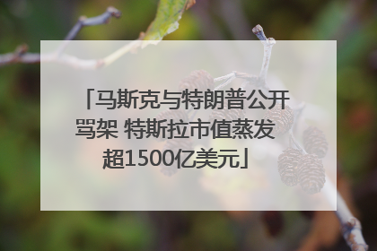 马斯克与特朗普公开骂架 特斯拉市值蒸发超1500亿美元
