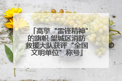 高擎“雷锋精神”的旗帜 望城区消防救援大队获评“全国文明单位”称号