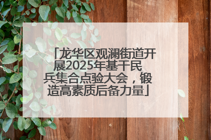 龙华区观澜街道开展2025年基干民兵集合点验大会，锻造高素质后备力量