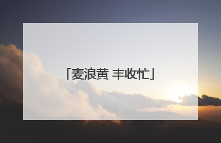 麦浪黄 丰收忙