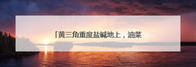 黄三角重度盐碱地上，油菜测产每亩超过180公斤