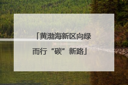 黄渤海新区向绿而行“碳”新路