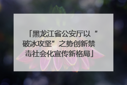 黑龙江省公安厅以“破冰攻坚”之势创新禁毒社会化宣传新格局