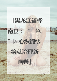 黑龙江省桦南县：“三色”匠心织锦绣 绘就治理新画卷