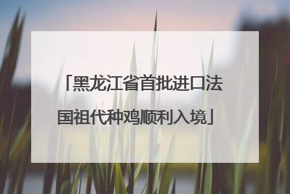 黑龙江省首批进口法国祖代种鸡顺利入境