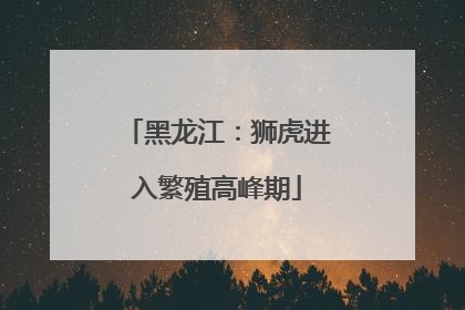 黑龙江：狮虎进入繁殖高峰期