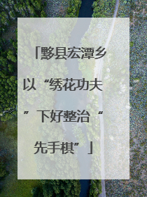 黟县宏潭乡以“绣花功夫”下好整治“先手棋”