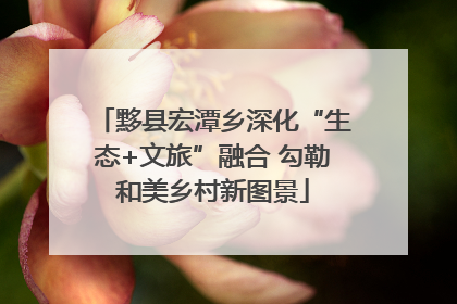 黟县宏潭乡深化“生态+文旅”融合 勾勒和美乡村新图景