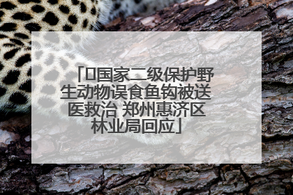 ﻿国家二级保护野生动物误食鱼钩被送医救治 郑州惠济区林业局回应