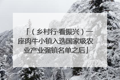 （乡村行·看振兴）一座肉牛小镇入选国家级农业产业强镇名单之后