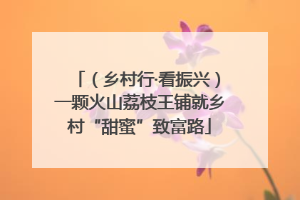 （乡村行·看振兴）一颗火山荔枝王铺就乡村“甜蜜”致富路