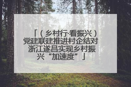 （乡村行·看振兴）党建联建推进村企结对 浙江遂昌实现乡村振兴“加速度”