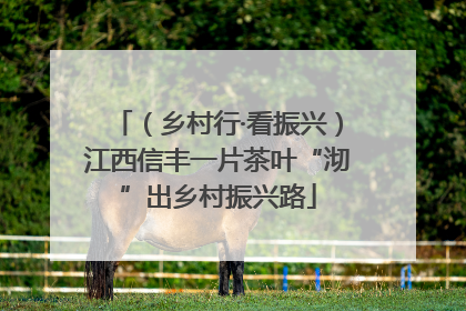（乡村行·看振兴）江西信丰一片茶叶“沏”出乡村振兴路