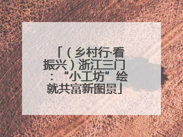（乡村行·看振兴）浙江三门：“小工坊”绘就共富新图景