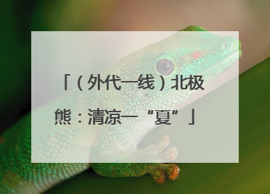 （外代一线）北极熊：清凉一“夏”