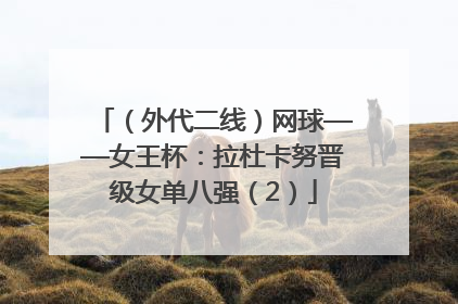 （外代二线）网球——女王杯：拉杜卡努晋级女单八强（2）